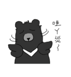 Taiwan bear's live（個別スタンプ：24）