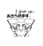 Wise Guy Pug（個別スタンプ：16）