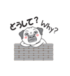 Wise Guy Pug（個別スタンプ：21）