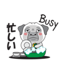 Wise Guy Pug（個別スタンプ：33）