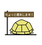 リクガメのロッシ―（個別スタンプ：15）