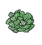 vegetable familys（個別スタンプ：13）