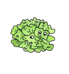 vegetable familys（個別スタンプ：20）