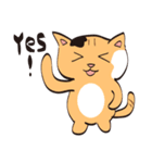 cat Bear daily（個別スタンプ：13）