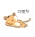 cat Bear daily（個別スタンプ：21）