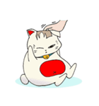 I am a fat cat "PANTANG"（個別スタンプ：39）