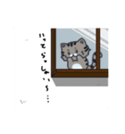 もふっねこ（個別スタンプ：17）