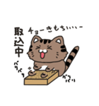 もふっねこ（個別スタンプ：39）