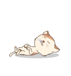 シックで素敵な猫（個別スタンプ：5）
