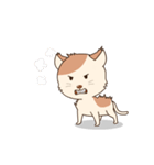 シックで素敵な猫（個別スタンプ：19）