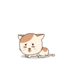 シックで素敵な猫（個別スタンプ：21）