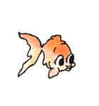 KINGYO Goldfishes（個別スタンプ：20）