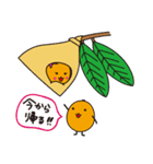 びわりん＆びわすけ（個別スタンプ：4）