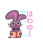 PiPi, the Rabbitの使える日常会話フレーズ（個別スタンプ：1）