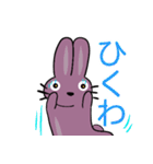 PiPi, the Rabbitの使える日常会話フレーズ（個別スタンプ：34）