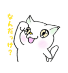 スペースキャトライム（個別スタンプ：31）