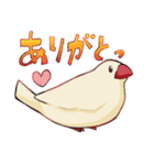 もちもち白文鳥（個別スタンプ：4）