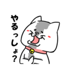 くずねこ（個別スタンプ：11）