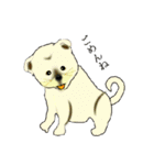 lt is an illustration by a figure dog（個別スタンプ：13）