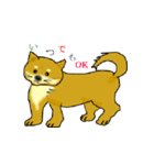 lt is an illustration by a figure dog（個別スタンプ：21）