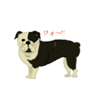 lt is an illustration by a figure dog（個別スタンプ：22）