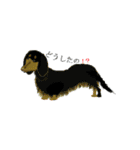 lt is an illustration by a figure dog（個別スタンプ：28）
