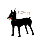 lt is an illustration by a figure dog（個別スタンプ：32）