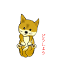 lt is an illustration by a figure dog（個別スタンプ：33）
