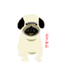 lt is an illustration by a figure dog（個別スタンプ：34）