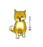 lt is an illustration by a figure dog（個別スタンプ：35）