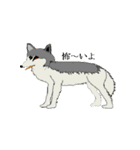 lt is an illustration by a figure dog（個別スタンプ：37）