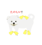 lt is an illustration by a figure dog（個別スタンプ：38）