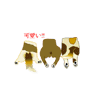 lt is an illustration by a figure dog（個別スタンプ：40）