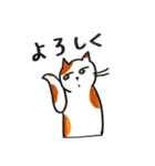 無難な猫さんスタンプ 7（個別スタンプ：16）