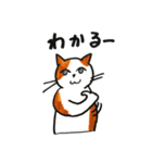 無難な猫さんスタンプ 7（個別スタンプ：35）