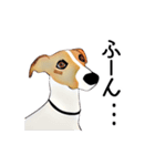 Claiv the whippet（個別スタンプ：4）
