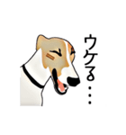 Claiv the whippet（個別スタンプ：10）