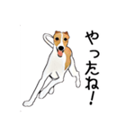 Claiv the whippet（個別スタンプ：16）