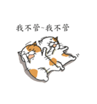 Cat's fantasy world（個別スタンプ：19）