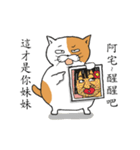 Cat's fantasy world（個別スタンプ：24）