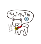 CAN犬のスタンプ（個別スタンプ：23）