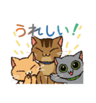 いつでもねこだまり3（個別スタンプ：6）