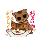 いつでもねこだまり3（個別スタンプ：8）