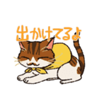 いつでもねこだまり3（個別スタンプ：20）