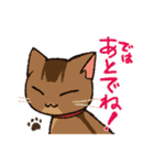 いつでもねこだまり3（個別スタンプ：21）