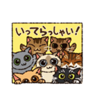 いつでもねこだまり3（個別スタンプ：26）