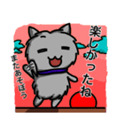 すてねこ（個別スタンプ：24）