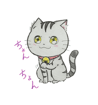 ゆるふわ猫ララちゃん♡（個別スタンプ：10）