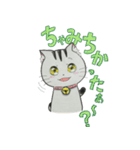 ゆるふわ猫ララちゃん♡（個別スタンプ：23）