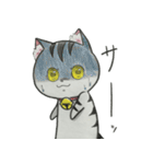 ゆるふわ猫ララちゃん♡（個別スタンプ：31）